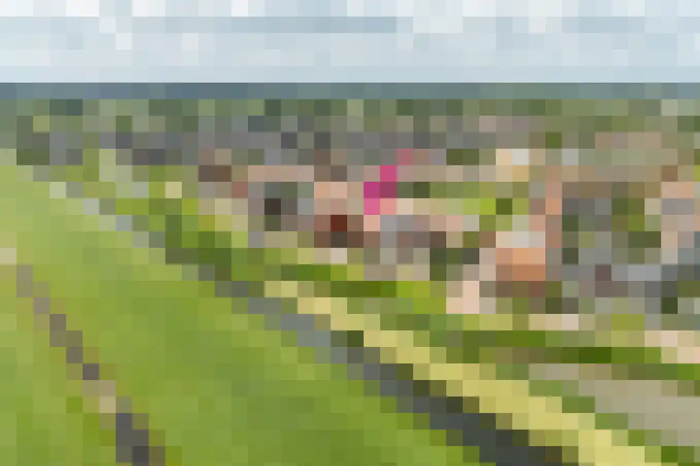 De Mus 5 Schoonhoven thumbnail 5