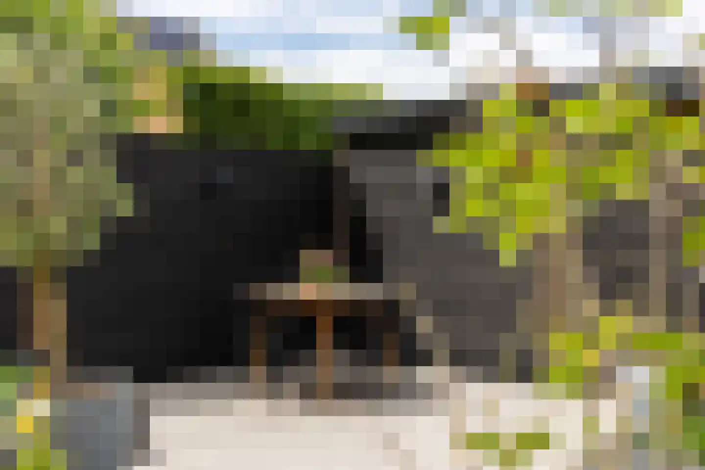 De Mus 5 Schoonhoven thumbnail 56