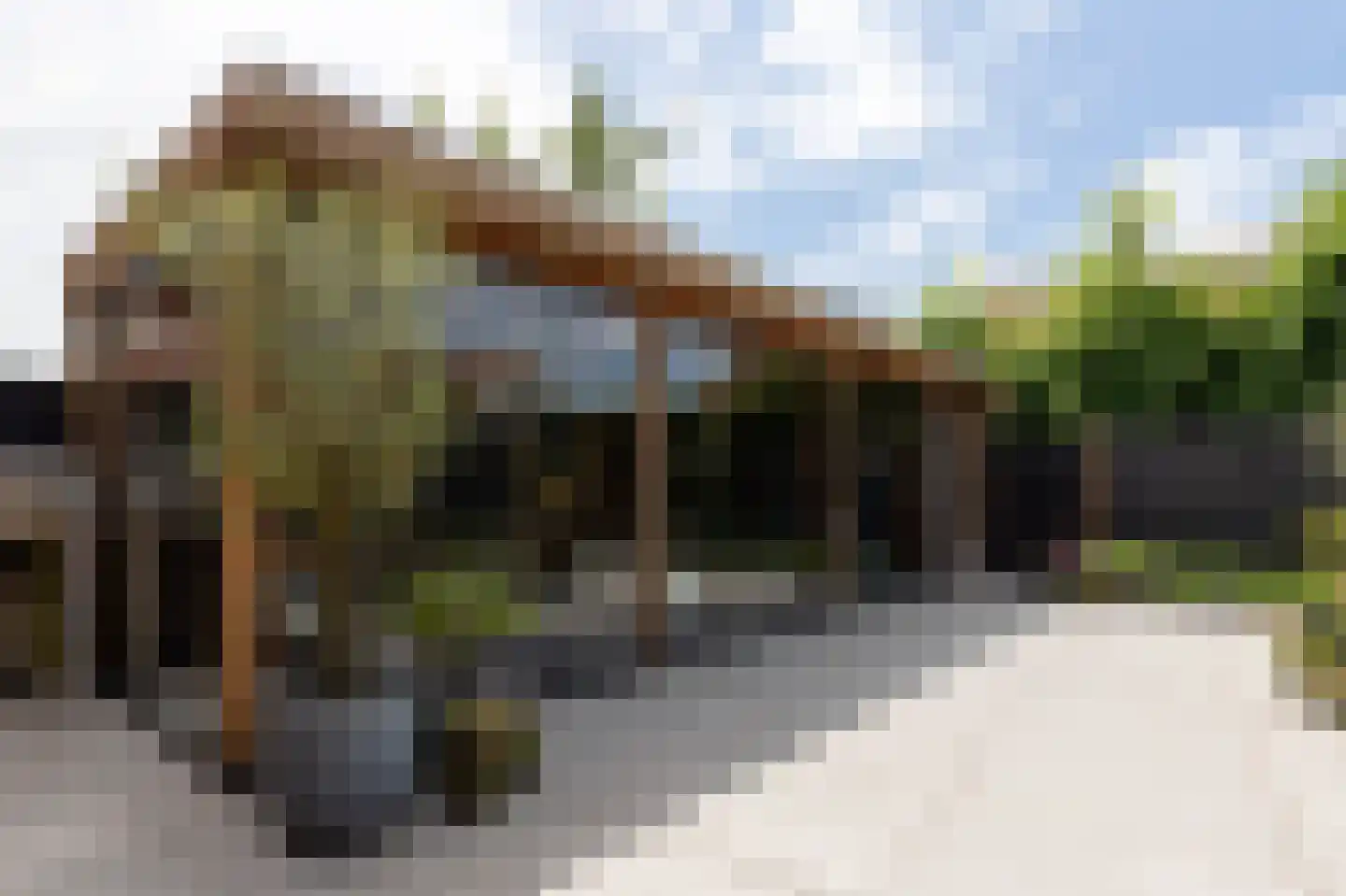 De Mus 5 Schoonhoven thumbnail 59