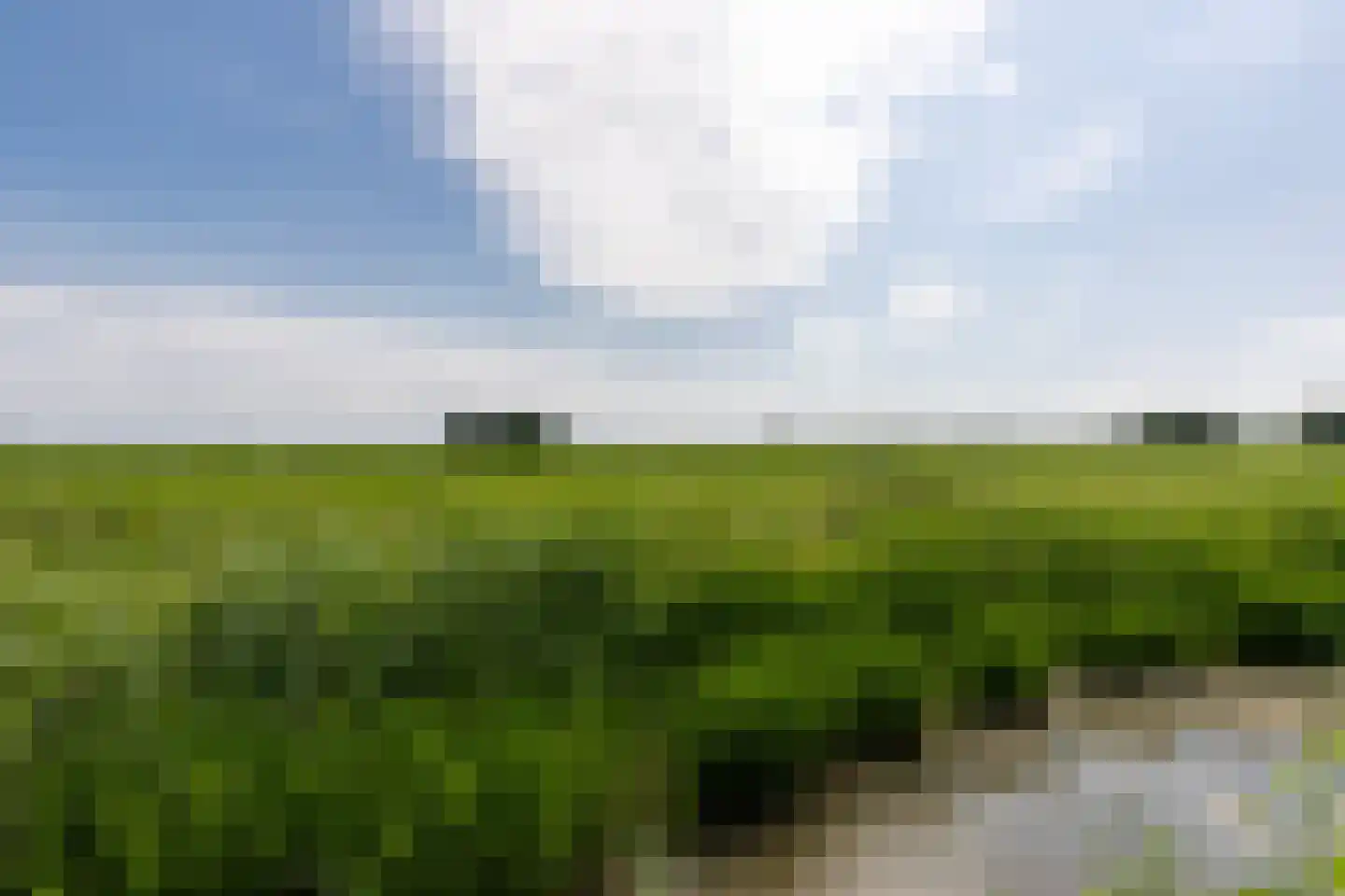 De Mus 5 Schoonhoven thumbnail 72
