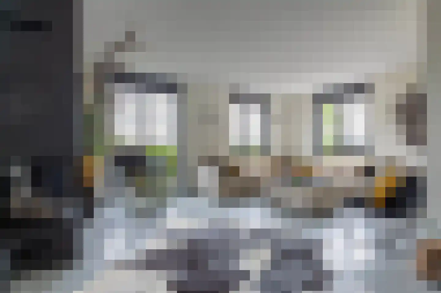 De Mus 5 Schoonhoven thumbnail 9