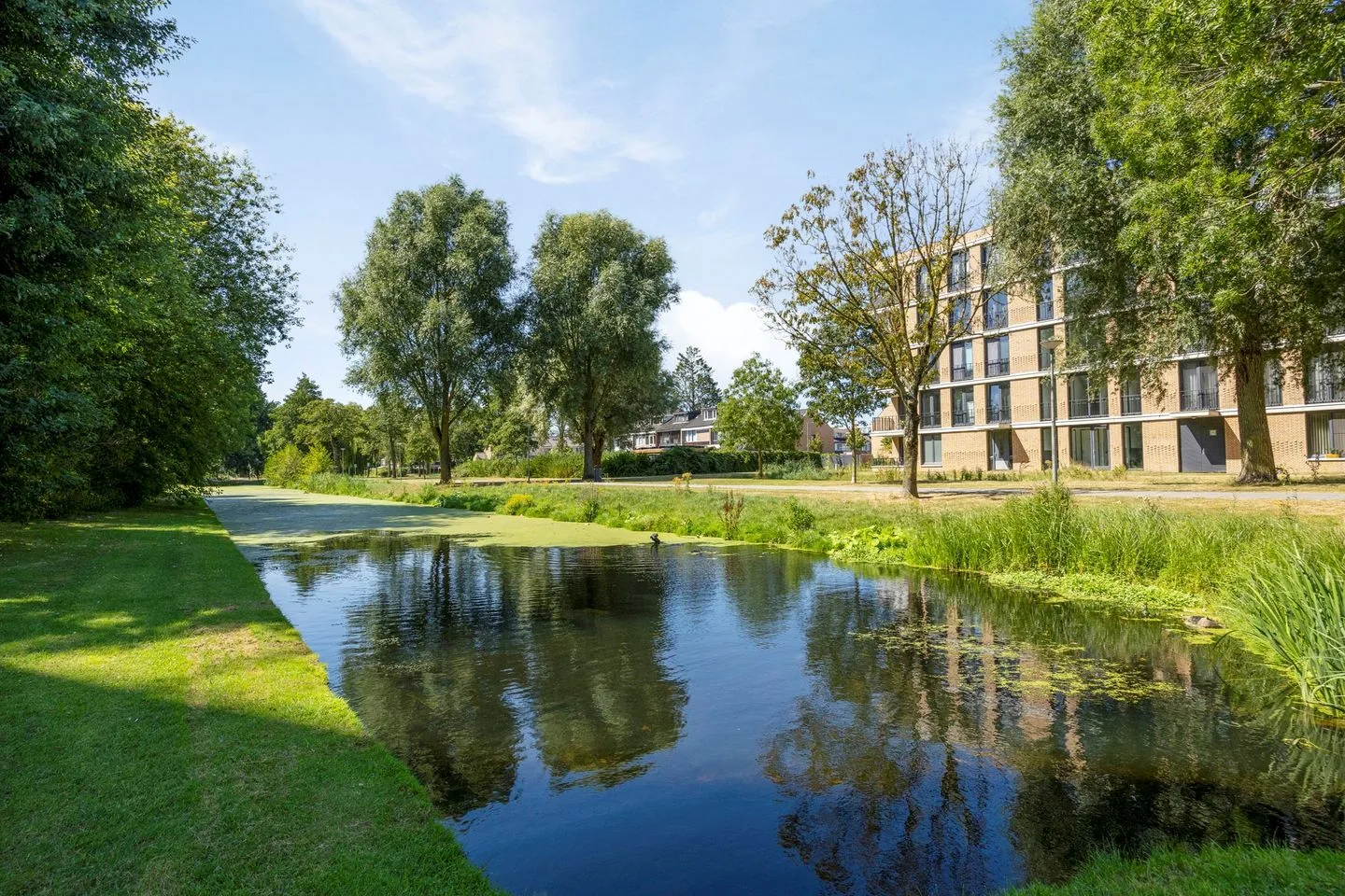 De Mussetstraat 1 Rotterdam thumbnail 55