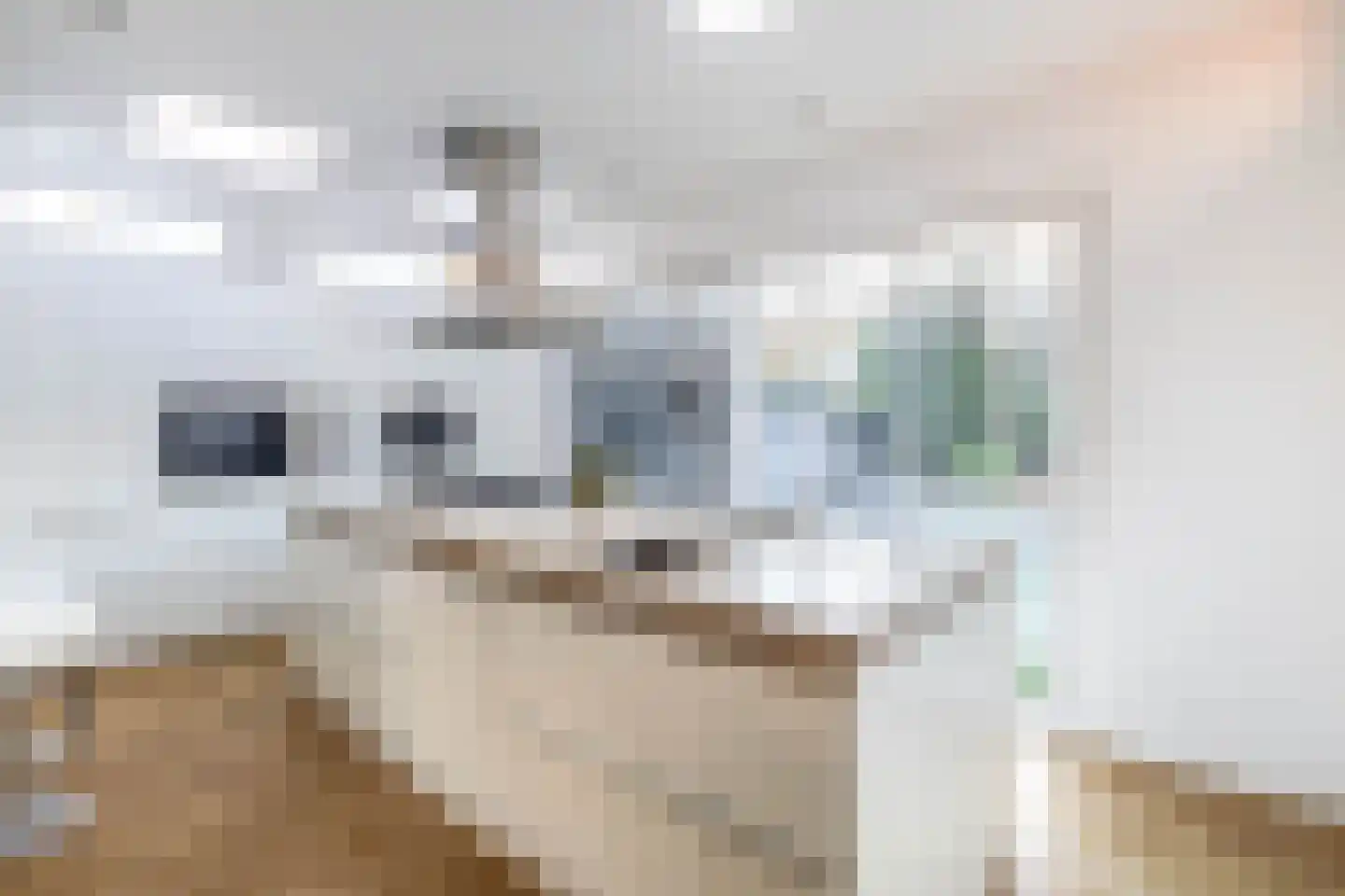 De Mussetstraat 11 Rotterdam thumbnail 22