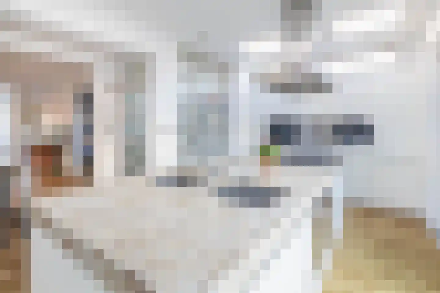 De Mussetstraat 11 Rotterdam thumbnail 23