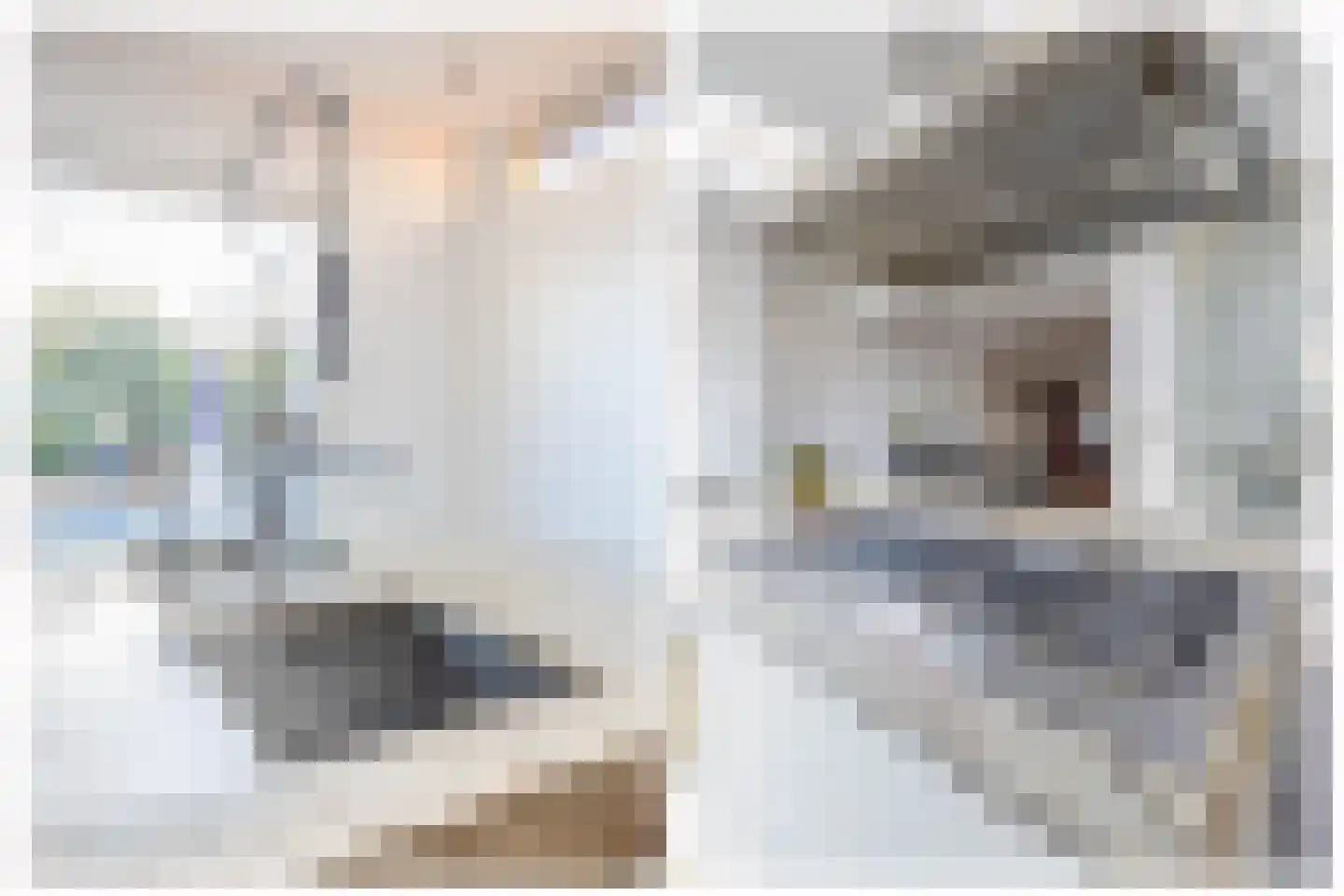 De Mussetstraat 11 Rotterdam thumbnail 24