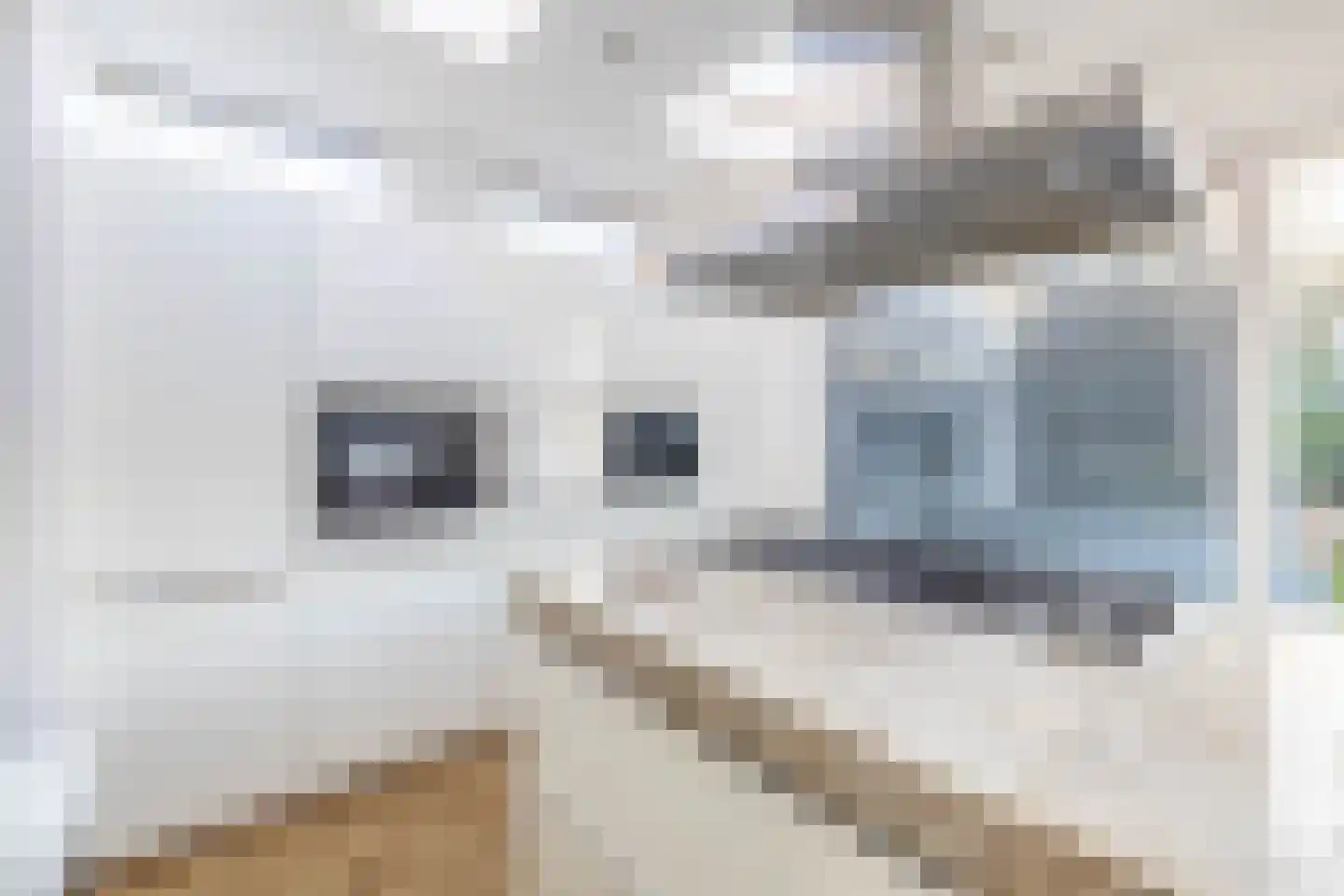 De Mussetstraat 11 Rotterdam thumbnail 26