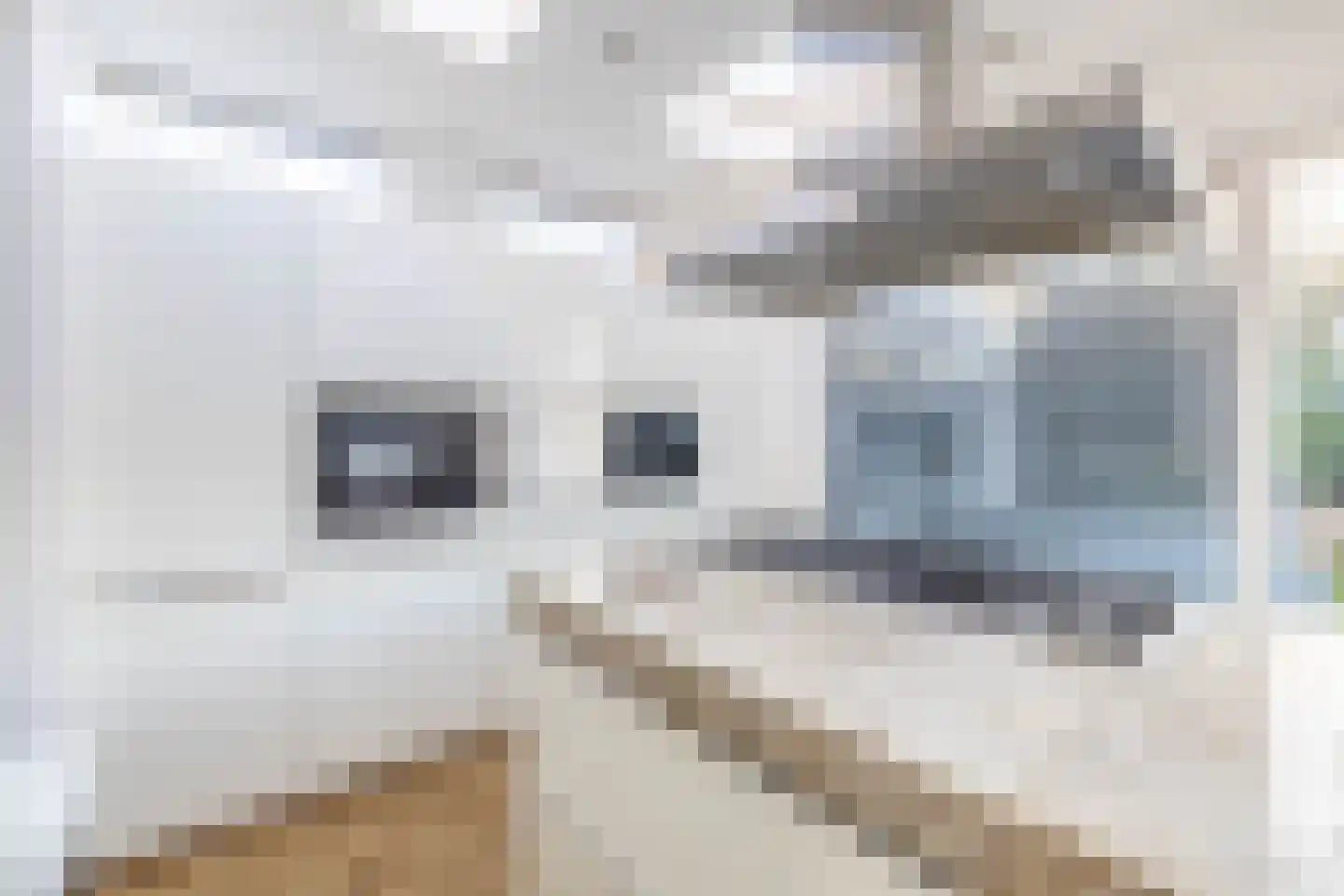 De Mussetstraat 11 Rotterdam thumbnail 26