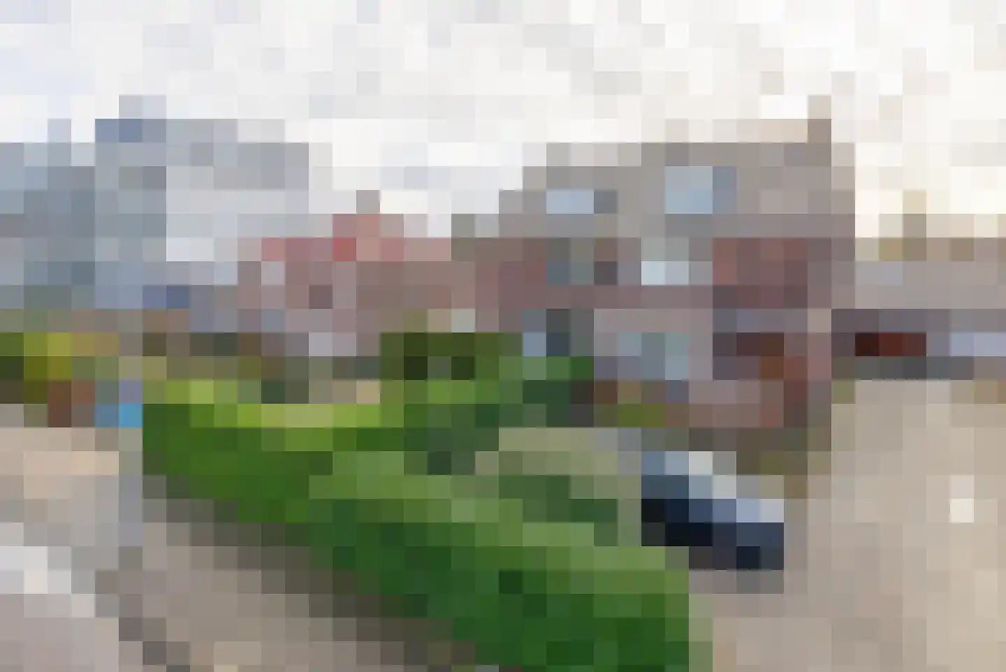 De Mussetstraat 11 Rotterdam thumbnail 5