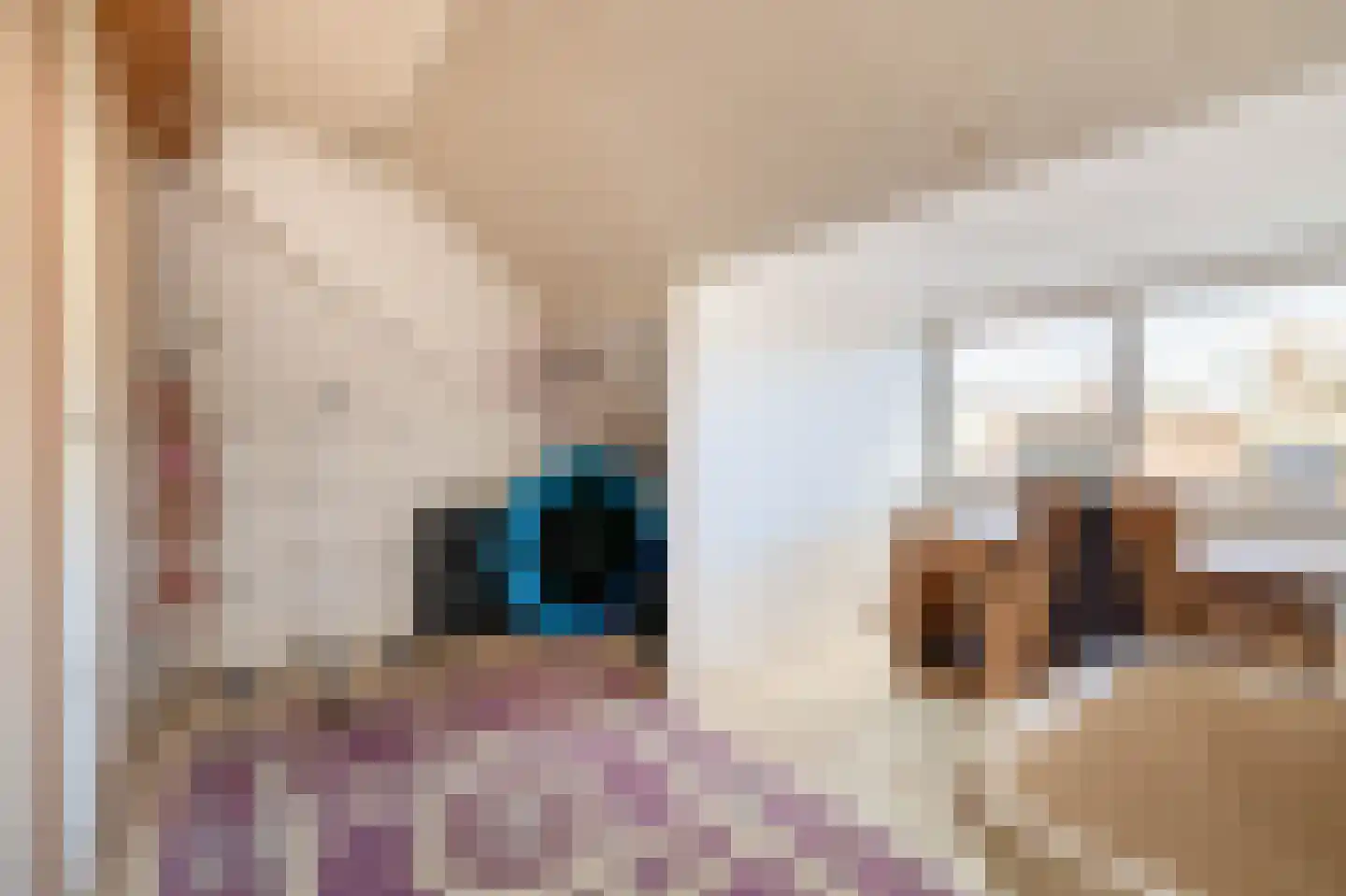 De Mussetstraat 11 Rotterdam thumbnail 53