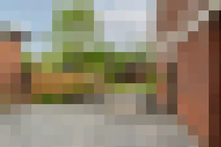 De Mussetstraat 9 Rotterdam thumbnail 18