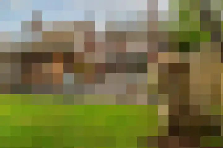 De Mussetstraat 9 Rotterdam thumbnail 21
