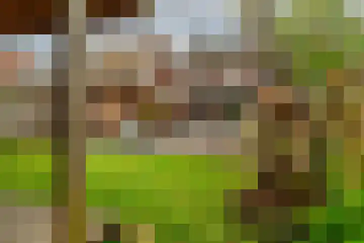 De Mussetstraat 9 Rotterdam thumbnail 23