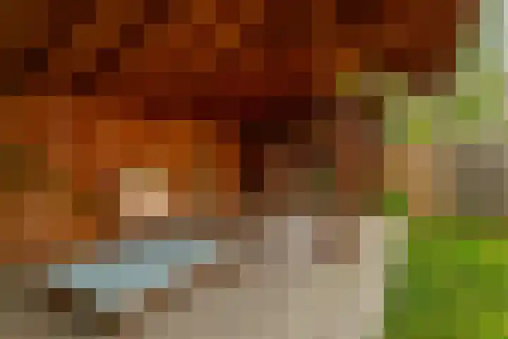 De Mussetstraat 9 Rotterdam thumbnail 24
