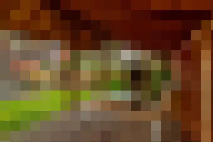 De Mussetstraat 9 Rotterdam thumbnail 25
