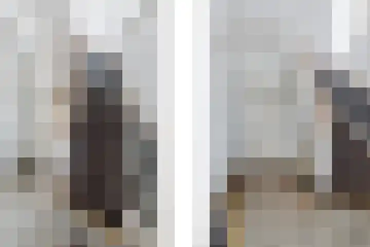 De Mussetstraat 9 Rotterdam thumbnail 30