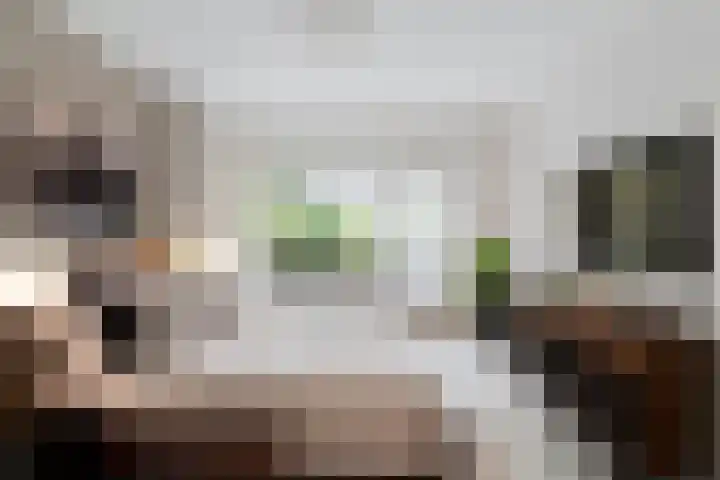De Mussetstraat 9 Rotterdam thumbnail 32