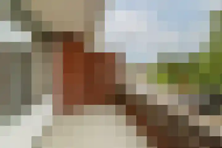 De Mussetstraat 9 Rotterdam thumbnail 35