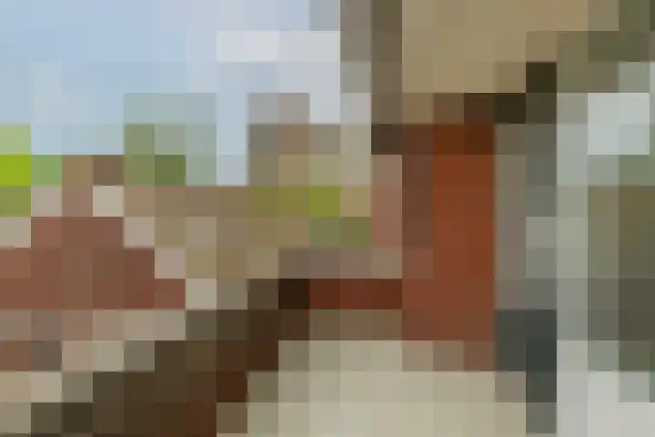 De Mussetstraat 9 Rotterdam thumbnail 36