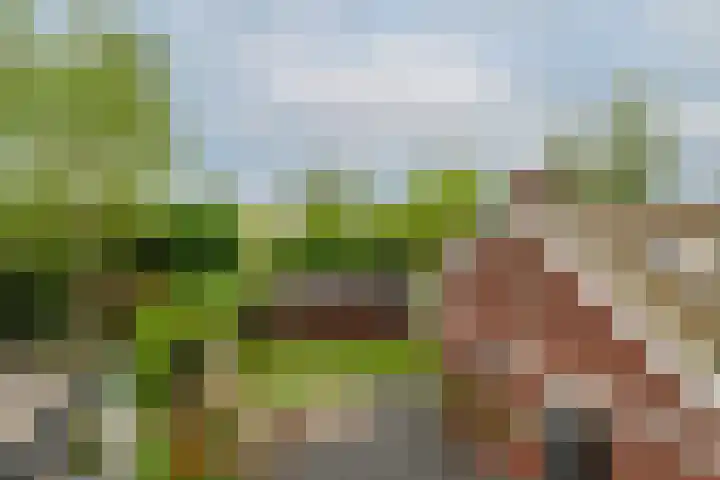 De Mussetstraat 9 Rotterdam thumbnail 37