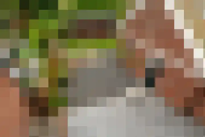 De Mussetstraat 9 Rotterdam thumbnail 38