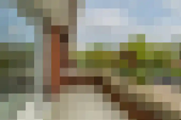 De Mussetstraat 9 Rotterdam thumbnail 43