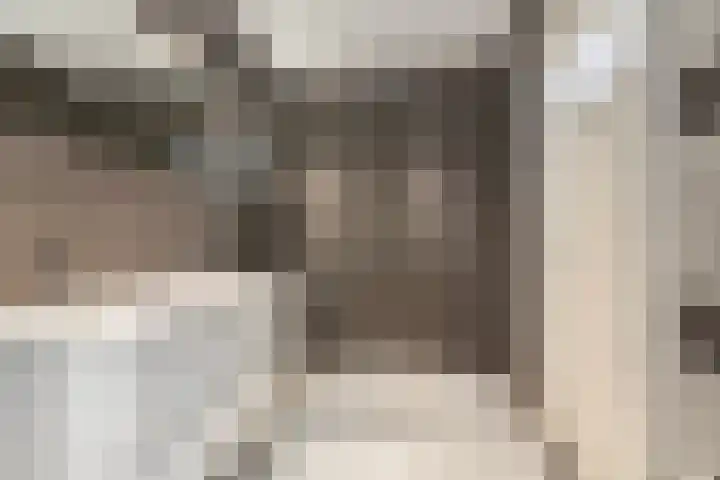 De Mussetstraat 9 Rotterdam thumbnail 49