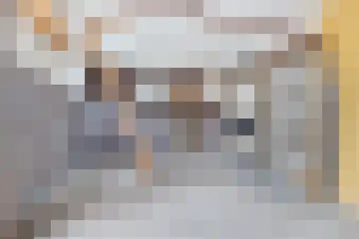 De Mussetstraat 9 Rotterdam thumbnail 60