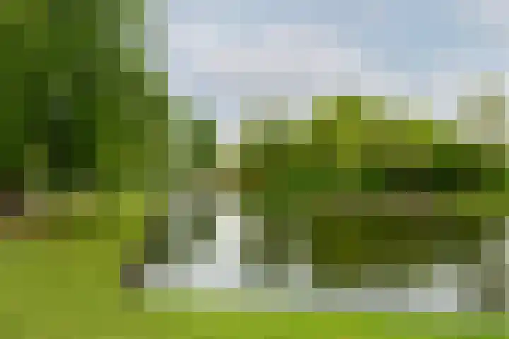 De Mussetstraat 9 Rotterdam thumbnail 66