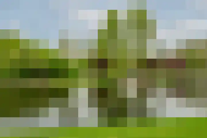 De Mussetstraat 9 Rotterdam thumbnail 68