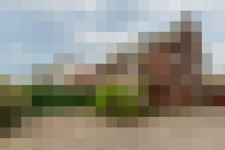 De Mussetstraat 9 Rotterdam thumbnail 69