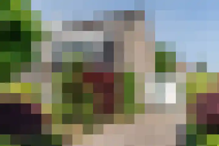 De Mute 6 en Den Ham
