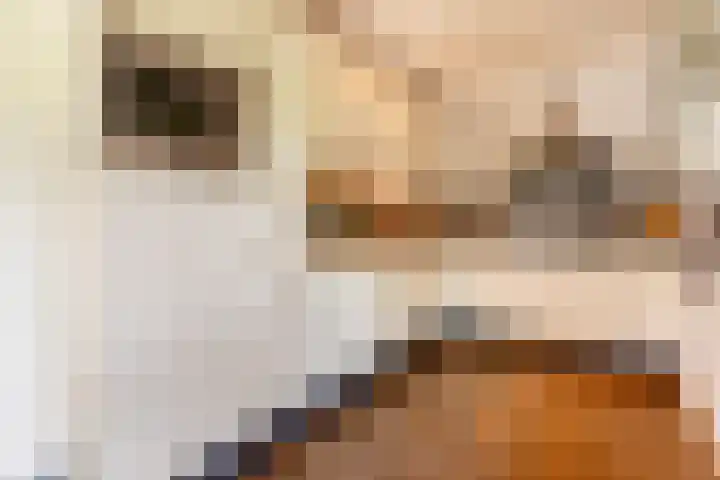 De Mute 6 Den Ham thumbnail 15