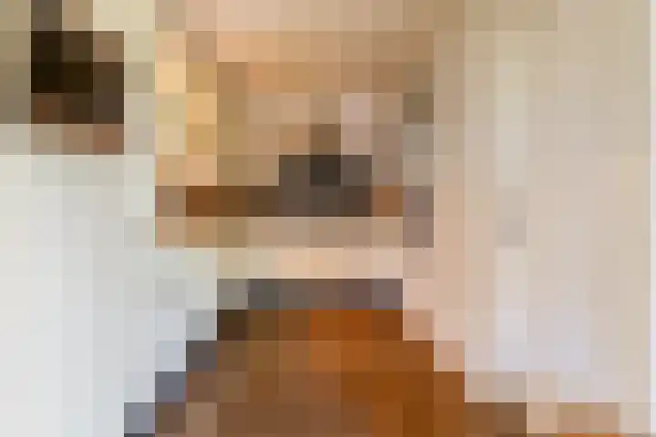 De Mute 6 Den Ham thumbnail 16
