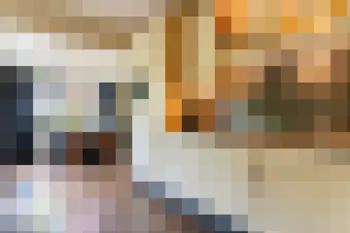 De Mute 6 Den Ham thumbnail 18