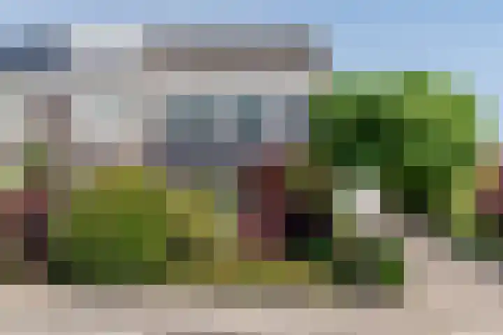 De Mute 6 Den Ham foto 3