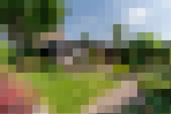De Mute 6 Den Ham thumbnail 40
