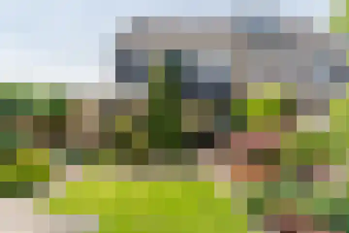 De Mute 6 Den Ham thumbnail 42