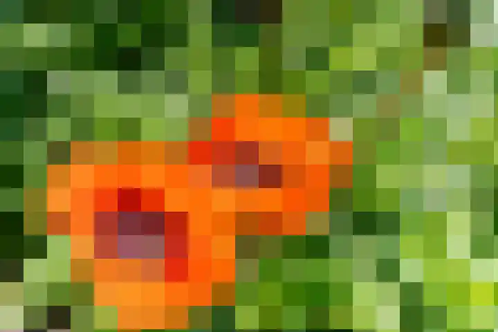 De Mute 6 Den Ham thumbnail 44