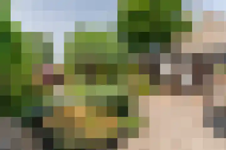De Mute 6 Den Ham thumbnail 45