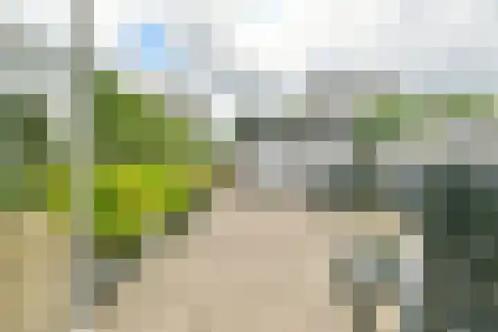 De Muy 131 Hoofddorp thumbnail 16