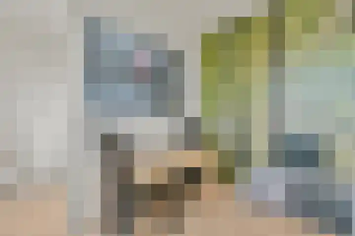 De Muy 131 Hoofddorp thumbnail 28