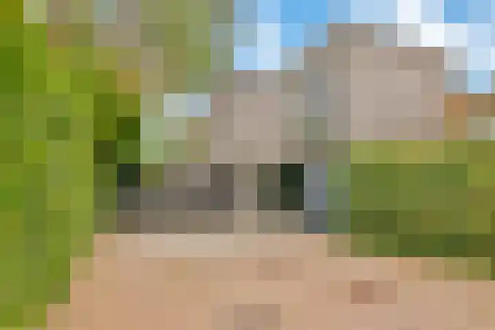 De Muy 139 in Hoofddorp