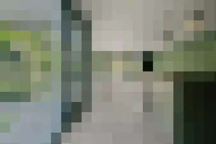 De Muy 139 Hoofddorp thumbnail 11