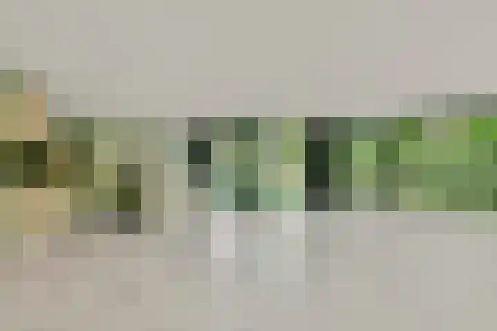 De Muy 139 Hoofddorp thumbnail 16