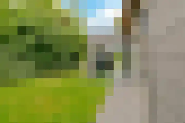 De Muy 139 Hoofddorp thumbnail 19