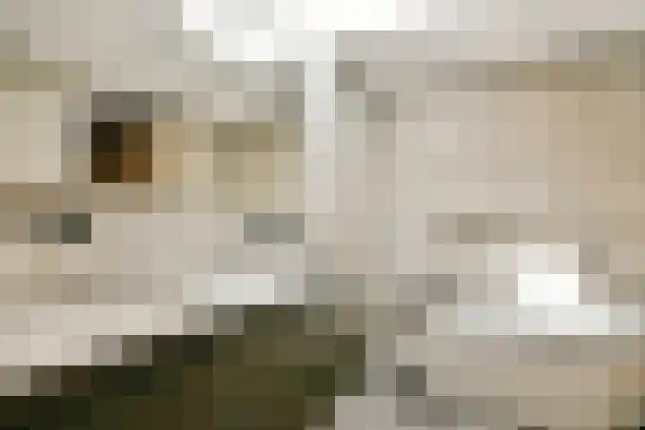 De Muy 139 Hoofddorp foto 2