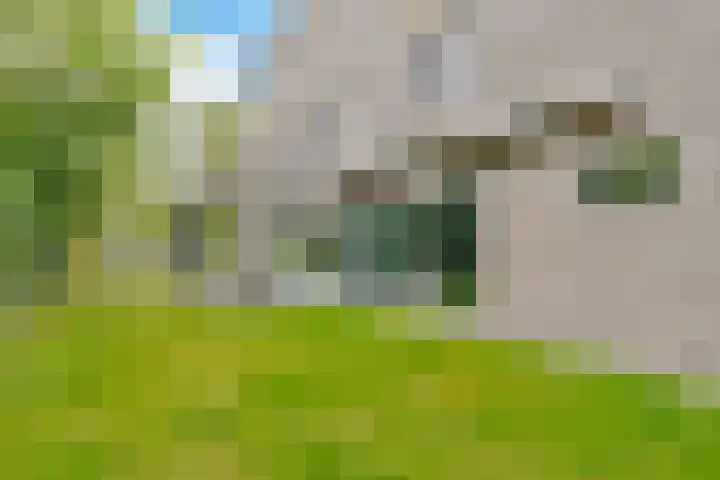 De Muy 139 Hoofddorp thumbnail 20