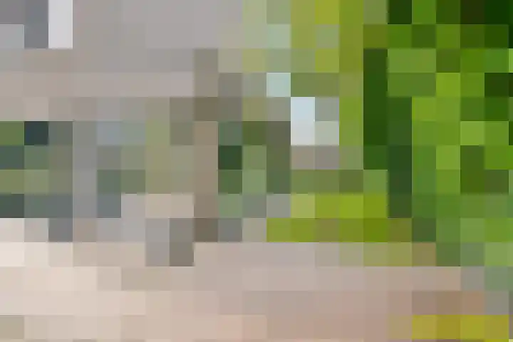 De Muy 139 Hoofddorp thumbnail 21