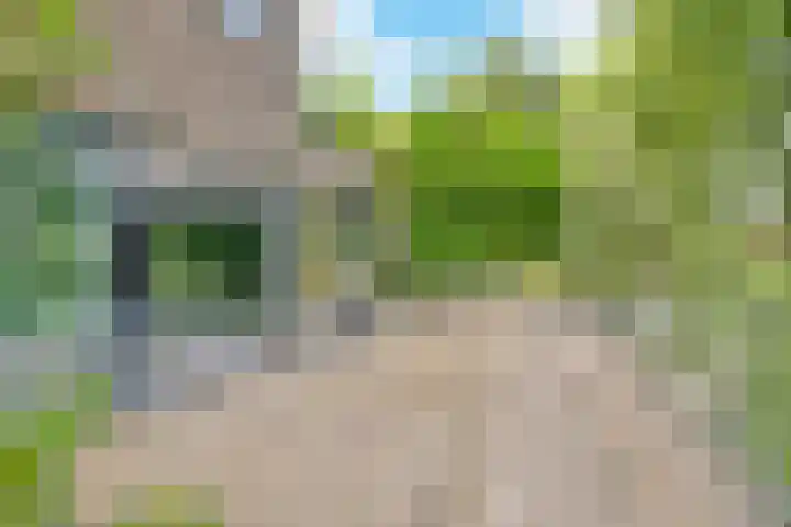 De Muy 139 Hoofddorp thumbnail 22