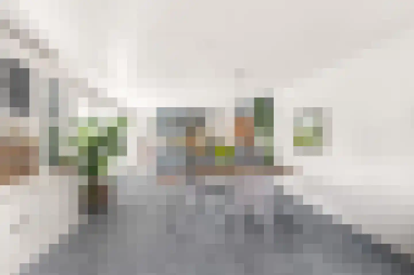 De Muy 141 Hoofddorp thumbnail 15